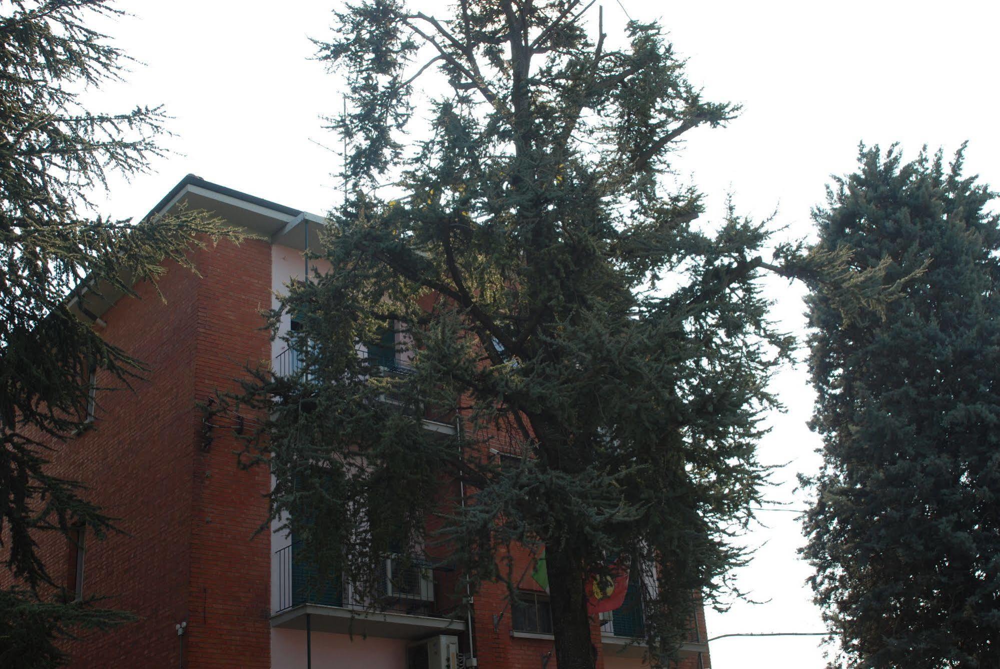 Hotel Tuscolano Bologna Exterior photo